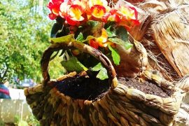 BEN BUNU YAPARIM #5 – Sepette Çiçek