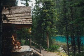 Friluftsliv Yaşam Nedir?