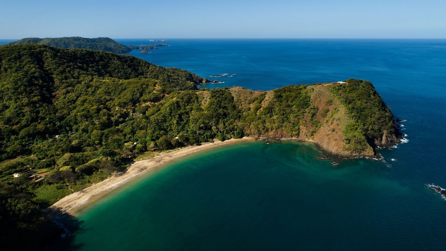 kasiiya papagayo